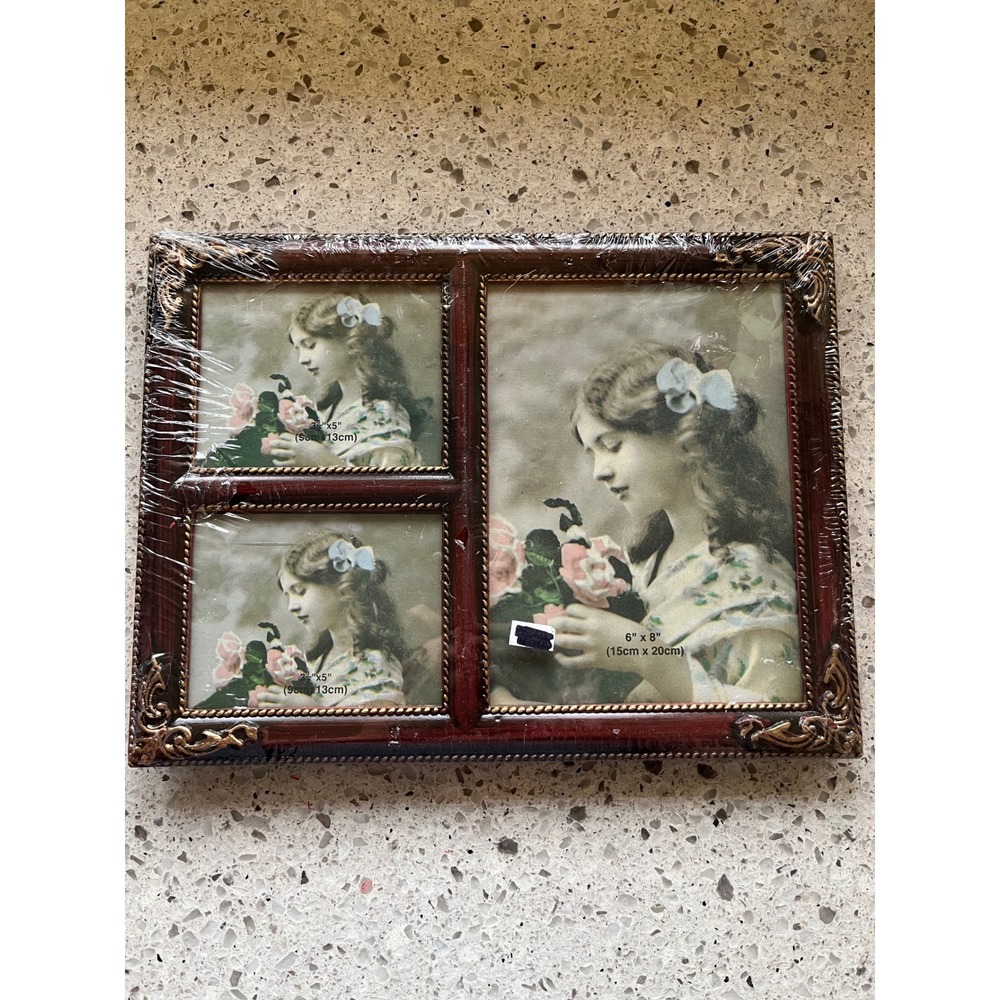 Collage Photo Frame Mahogany Gold Ornate 6x8 3.5x5